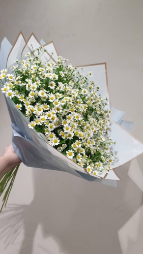 Букет из ромашек Ароматный