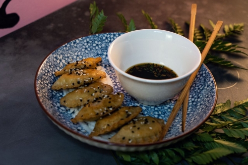 Гёдза с курицей