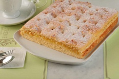 Лимонник
