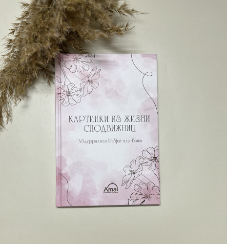 Книга Картинки из жизни сподвижниц