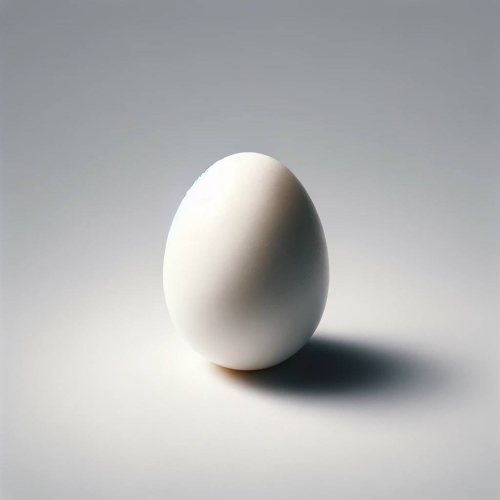 Яйцо 