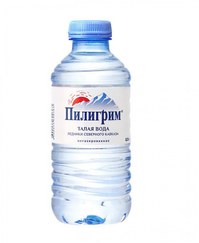 Вода "Пилигрим" 0,25 л негаз * 8 шт